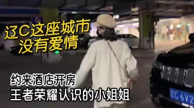 王者嫦娥做H污污本子